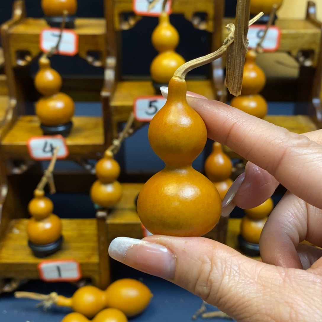 L**y精品精品小绕指