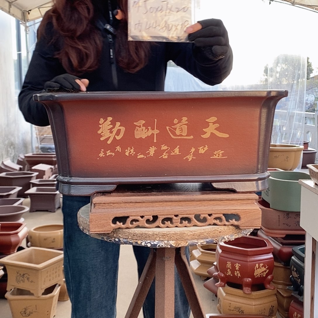 紫砂花盆紫砂花盆