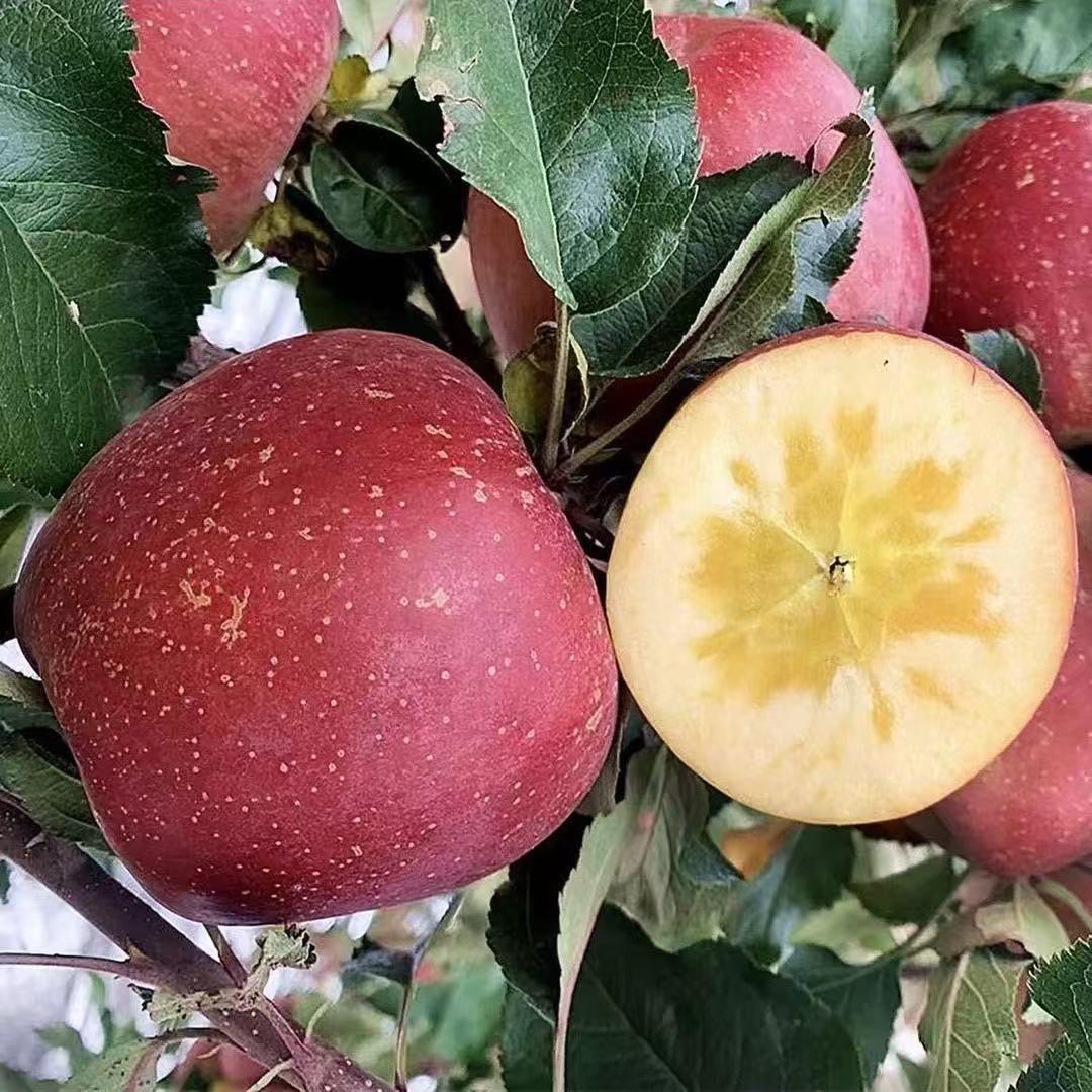 25年正宗冰糖心红富士苹果新鲜水果当季应季整箱脆甜多汁丑苹果