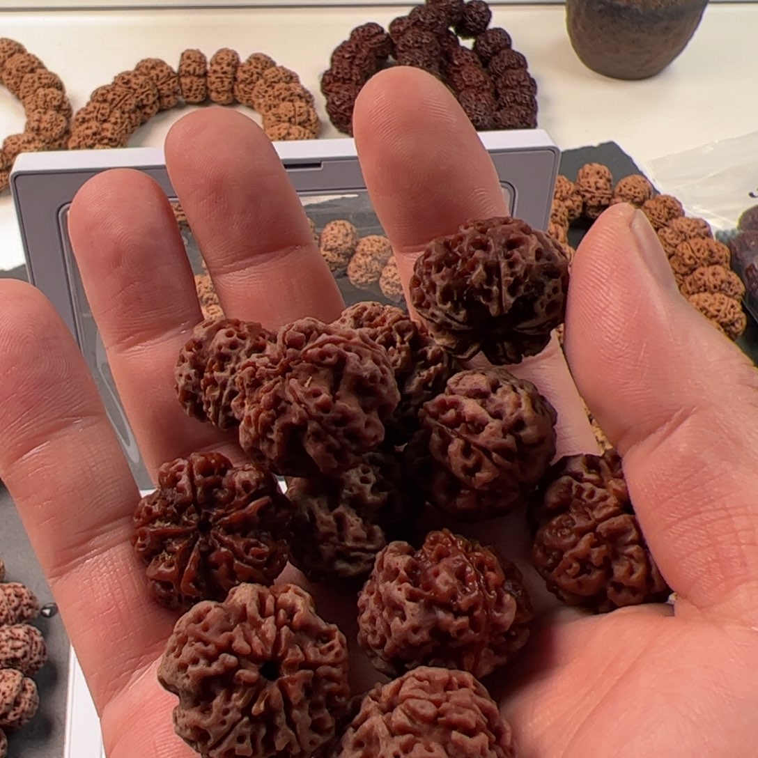 金刚菩提手串不***子原生傲骨梅花23