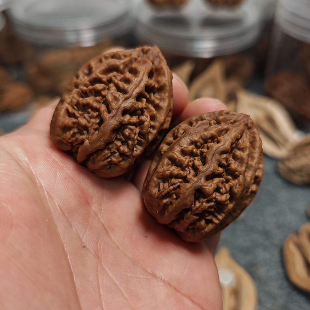 文玩核桃把件老树珊瑚纹