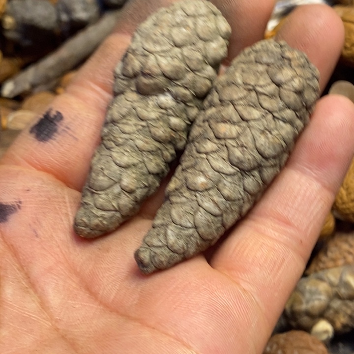 文玩核桃吊坠东北特产269