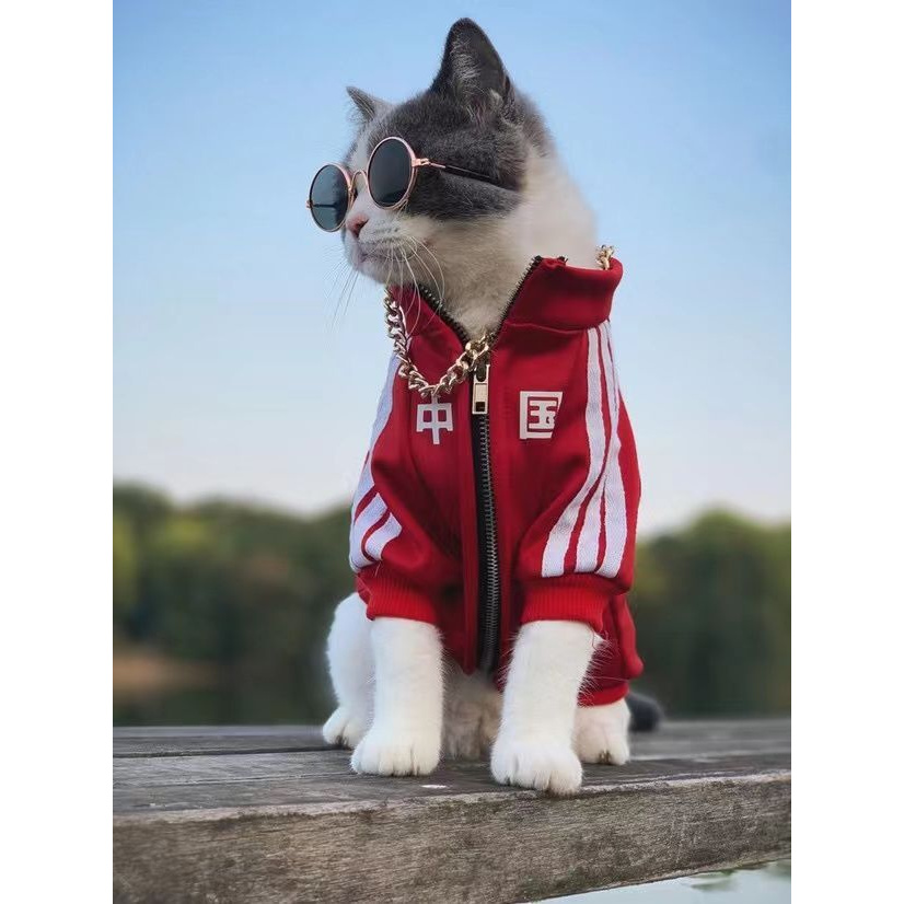 中国猫咪狗狗衣服春秋冬款潮牌泰迪柯基雪纳瑞中小型犬宠物衣服