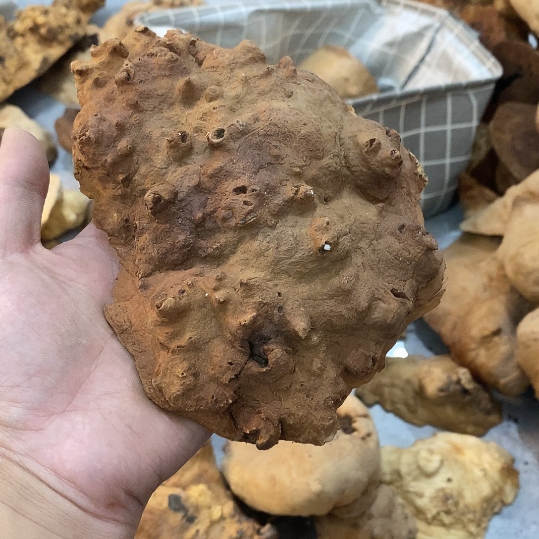 真***诚荔枝木荔枝木原料