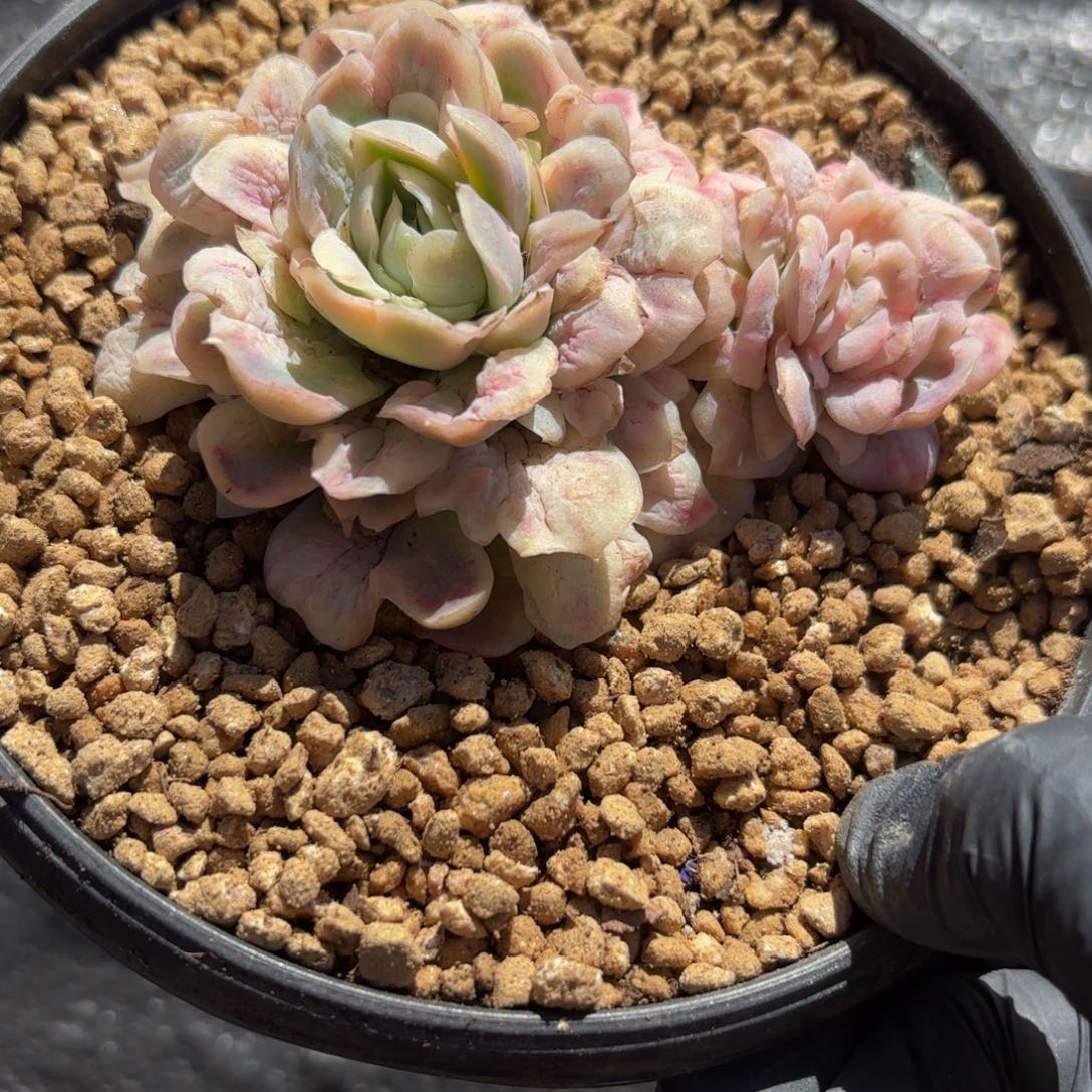 你****哈哈哈哈哈哈哈哈哈哈好宝贝