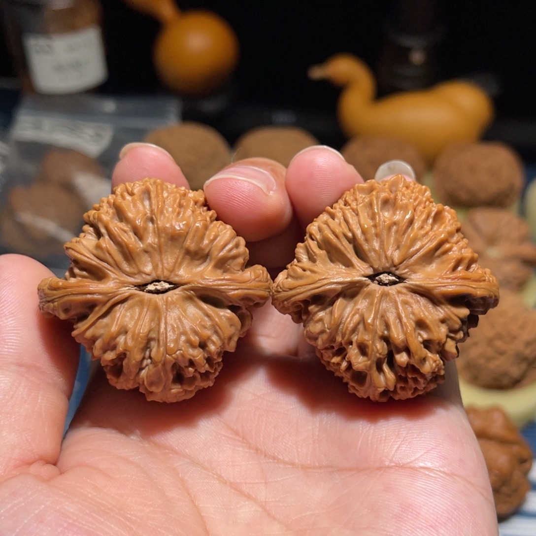 旺***猫文玩核桃把件南疆石43-43-39全品