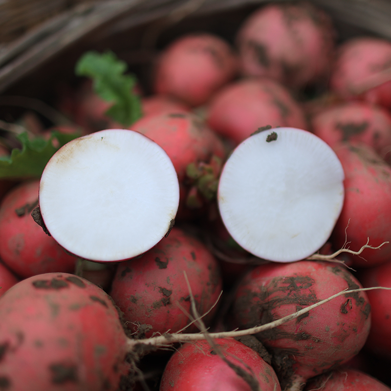 5斤湖北农家自种露天老品种新鲜红萝卜应季现拔软糯香甜生吃辣嘴