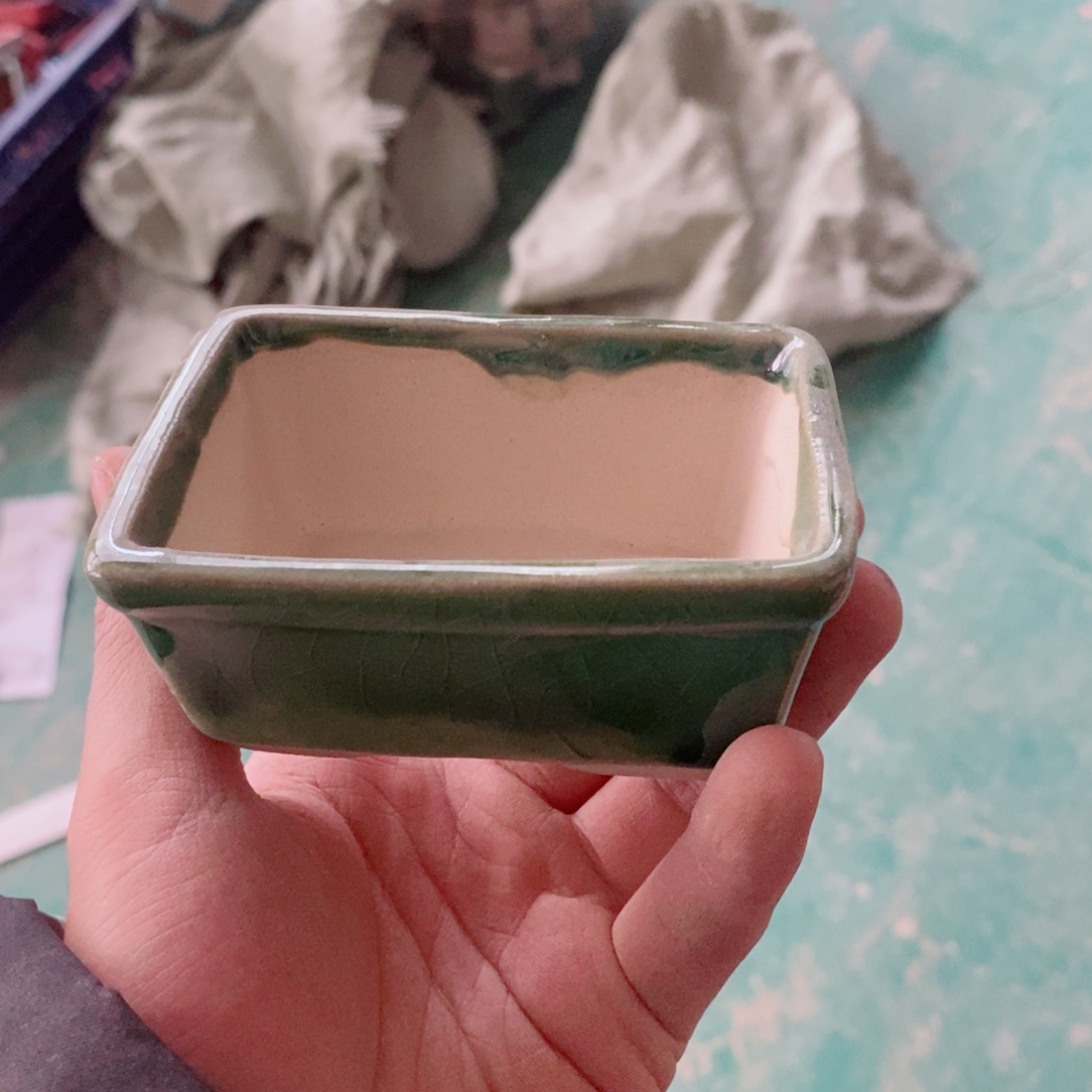 红陶11211111111111111