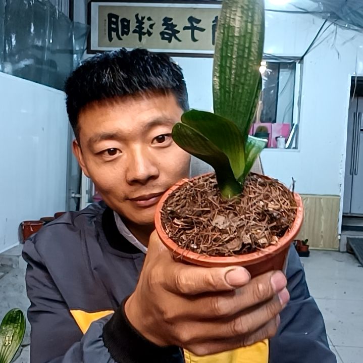 @【95】血兰88！血兰