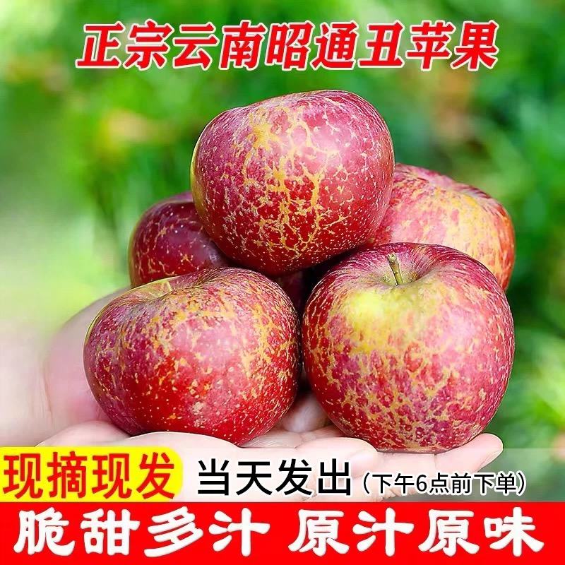 正宗云南昭通红富士苹果冰糖心丑苹果新鲜应季脆甜水果产地直发