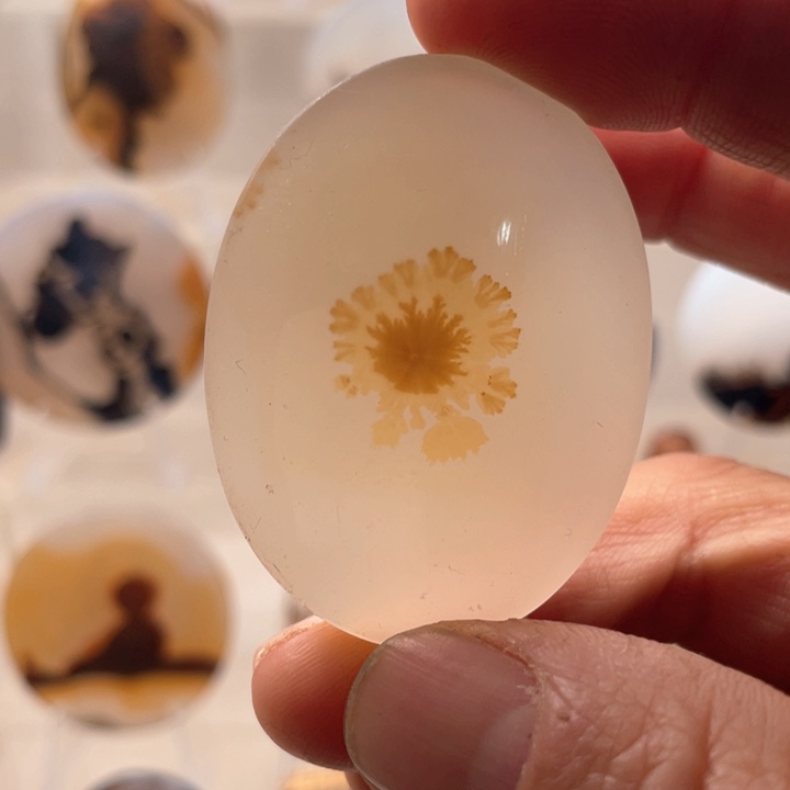 未镶嵌吊坠(不含链)玛瑙/玉髓