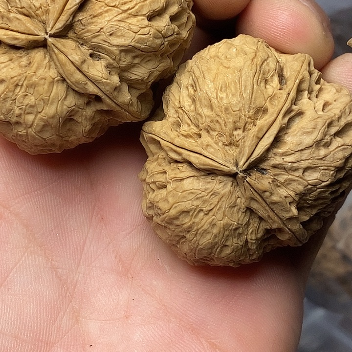 文玩核桃把件志成云铁文玩29