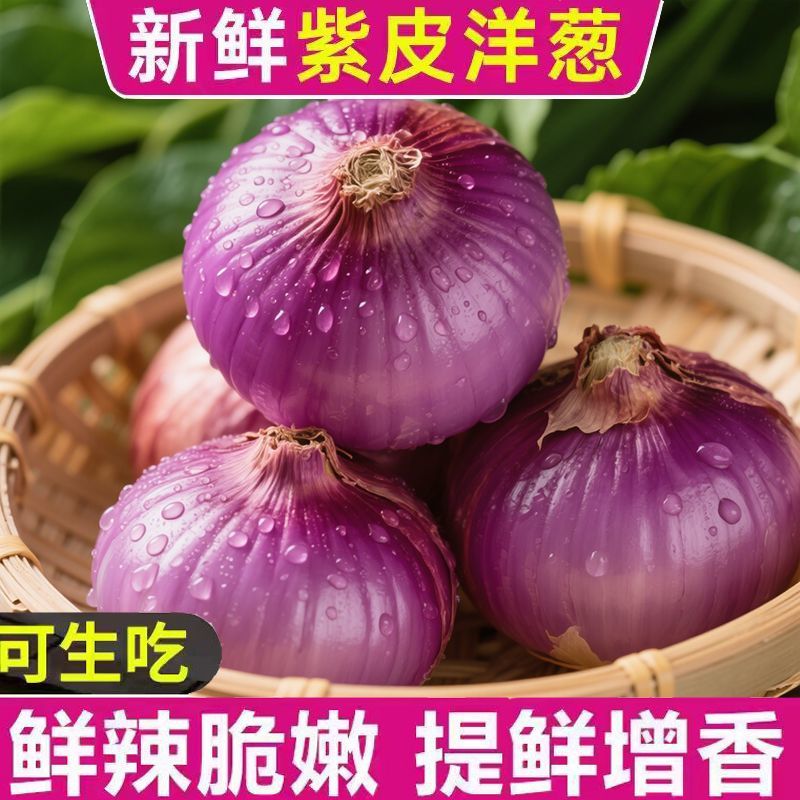 新鲜洋葱水果洋葱农家自种生吃脆甜爽口2025年紫皮洋葱