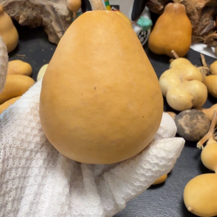 酒***子666666666667777888888