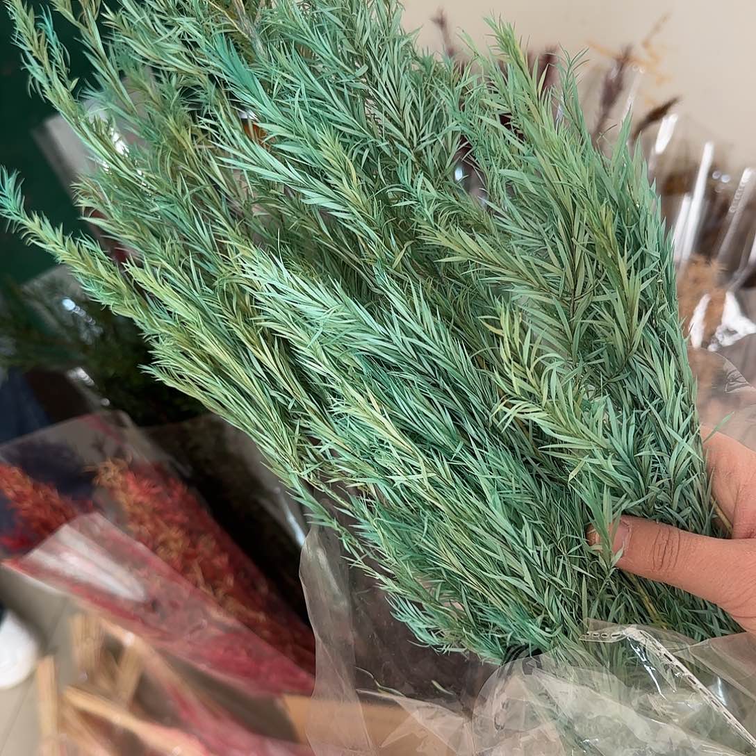 K59号湖蓝色千层金