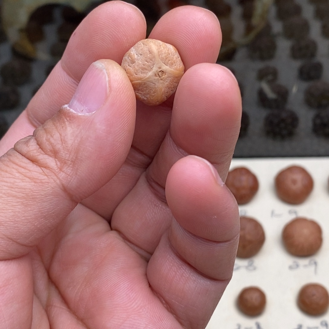 千***·凤眼菩提吊坠麒麟