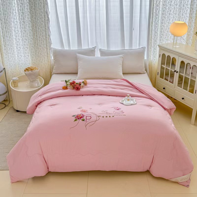 A类加厚蚕丝被被芯加厚保暖家用冬天棉被春秋被单双人宿舍被子-X