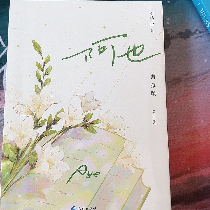 正版书籍 阿也刷边