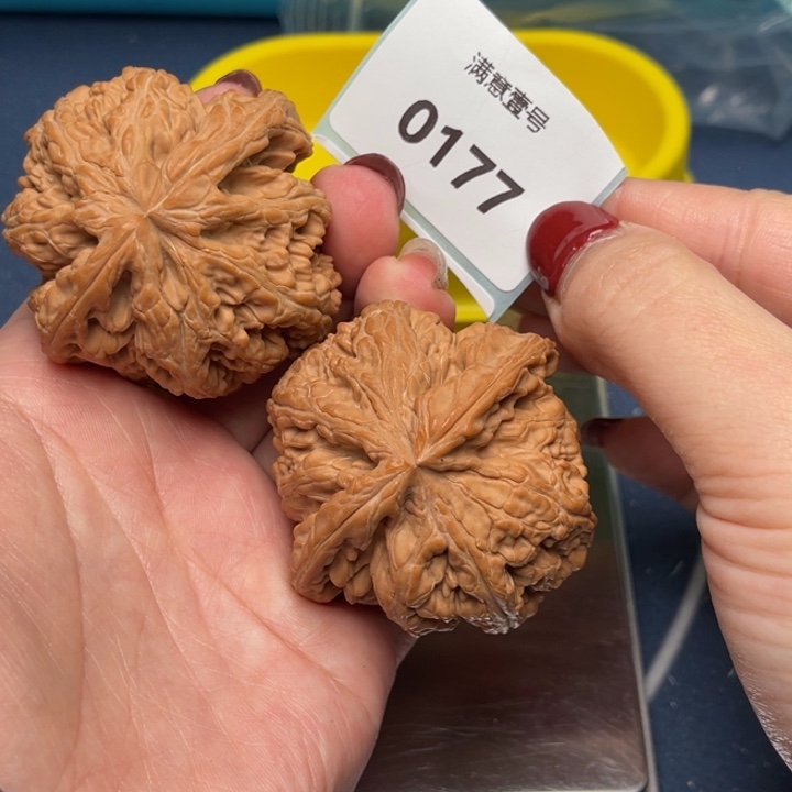 文玩核桃把件粗筋50