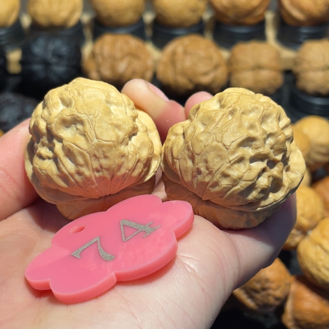 至尊老师金蟾蛤蟆头微彩34