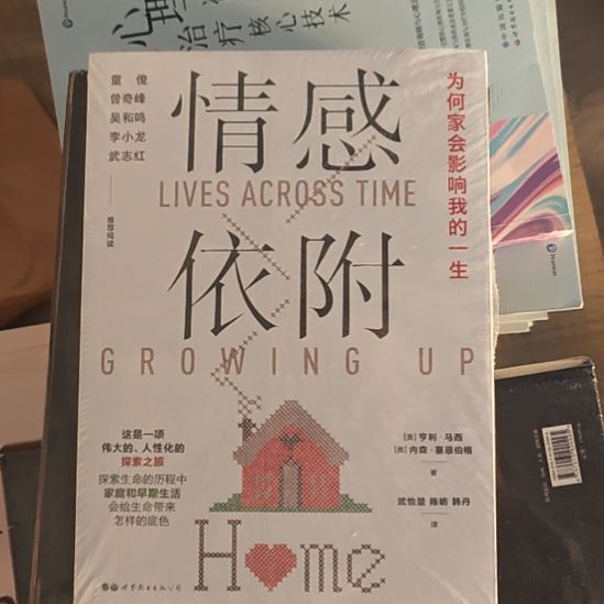 情感依附，为何家会影响我的一生？