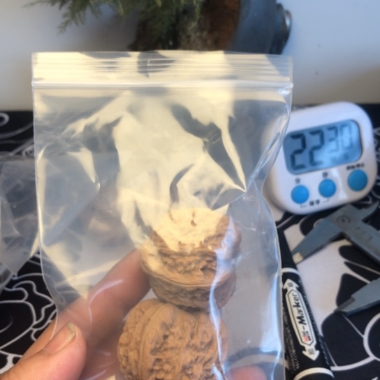 文玩核桃手把件白狮子