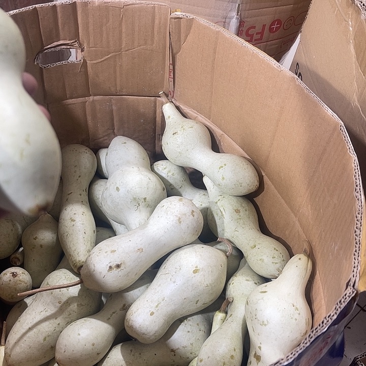 张*啊啊啊啊啊啊