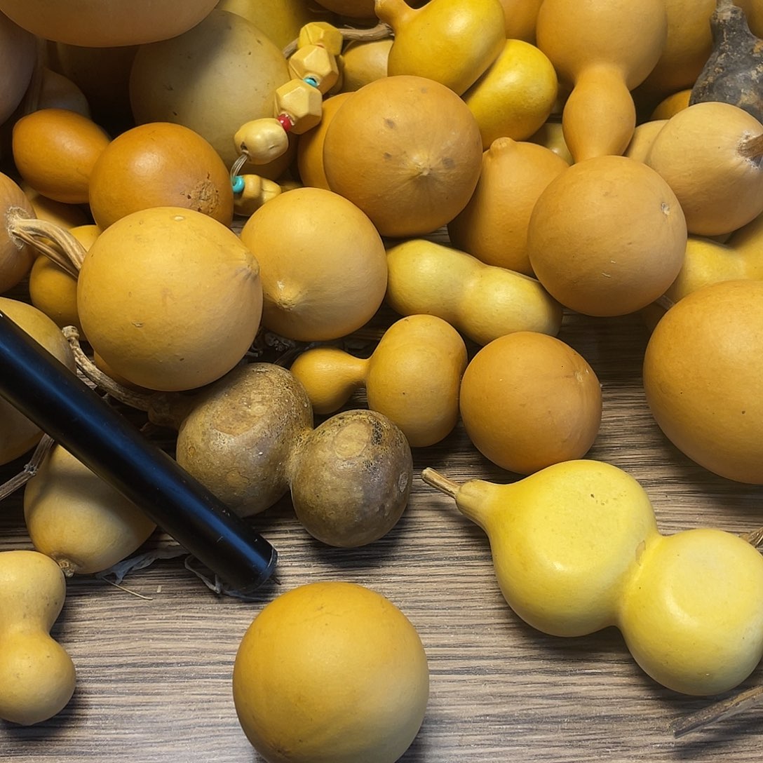 不***晚羊羔毛哈哈哈哈哈哈