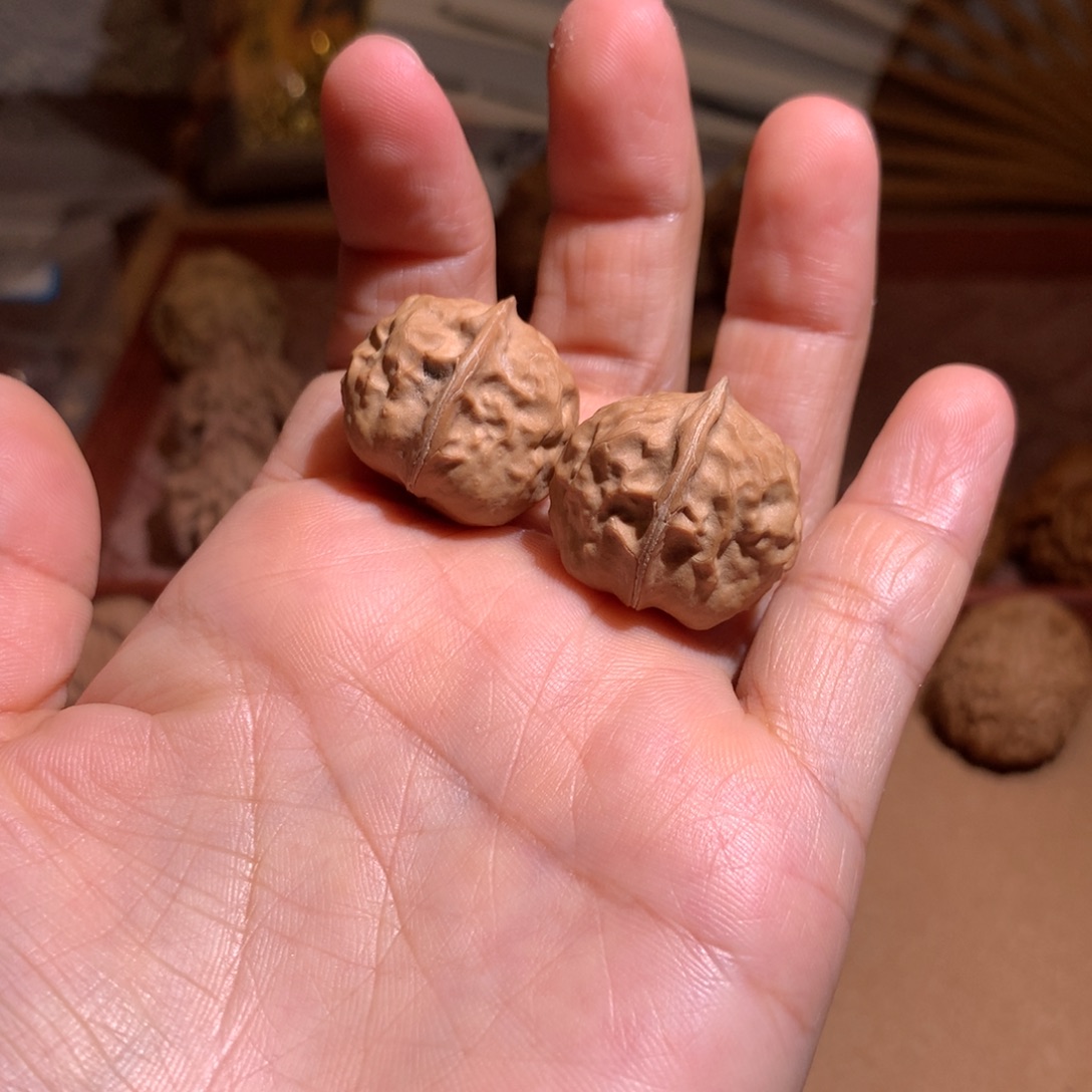 文玩核桃把件甲壳虫20