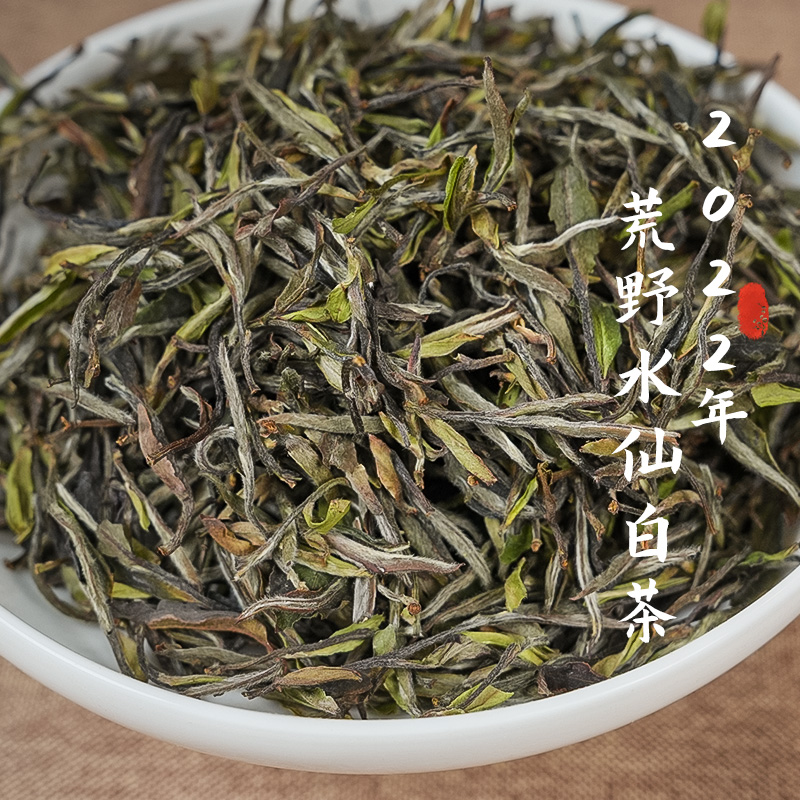2022年【老枞荒野水仙白茶】⑦漳墩/春采/原始种/兰花香/滋味饱满