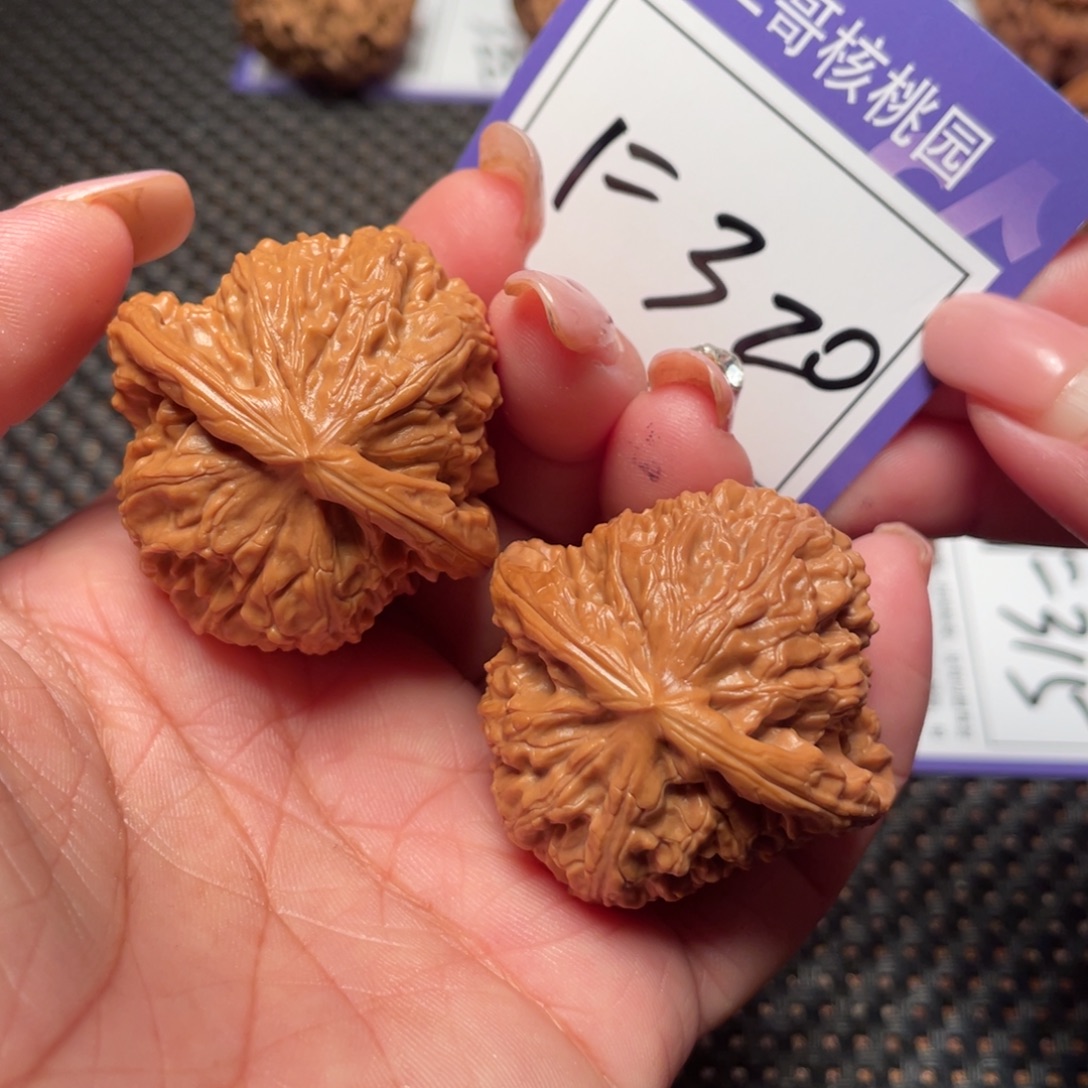 把件文玩核桃320号白狮子40