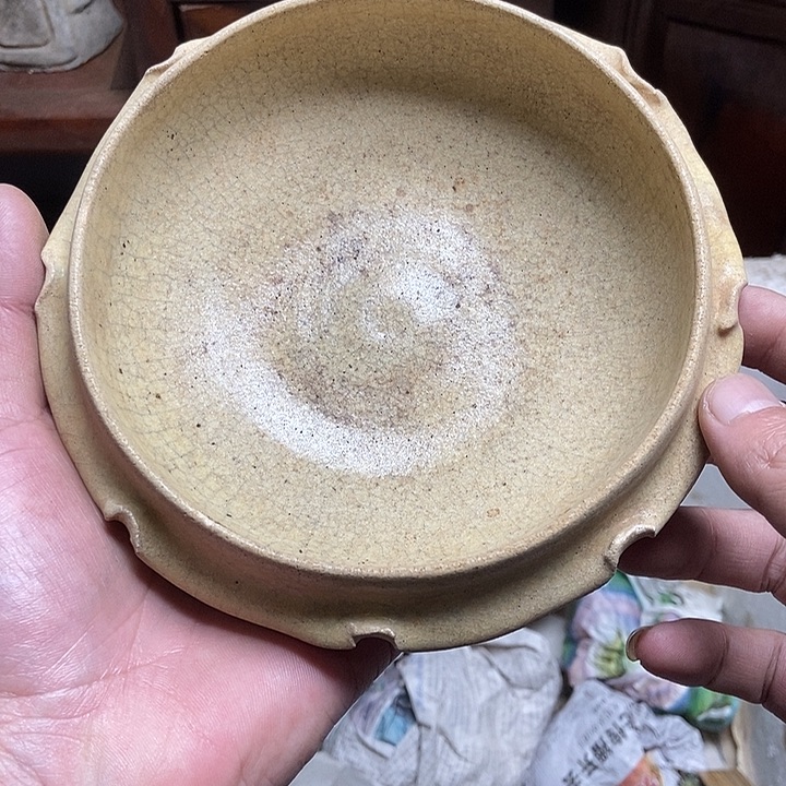 听***海陶非常漂漂亮亮的东西