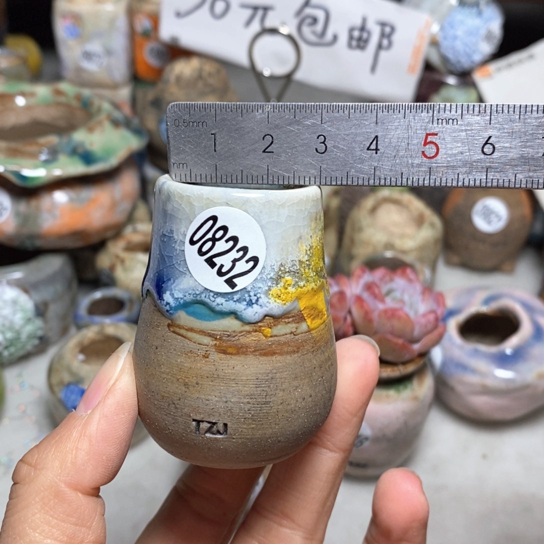 花盆拍5送一个小礼物