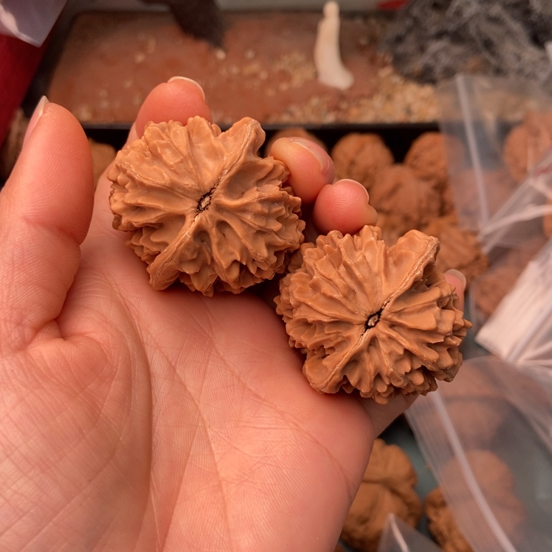 吊坠文玩核桃招财鼠21