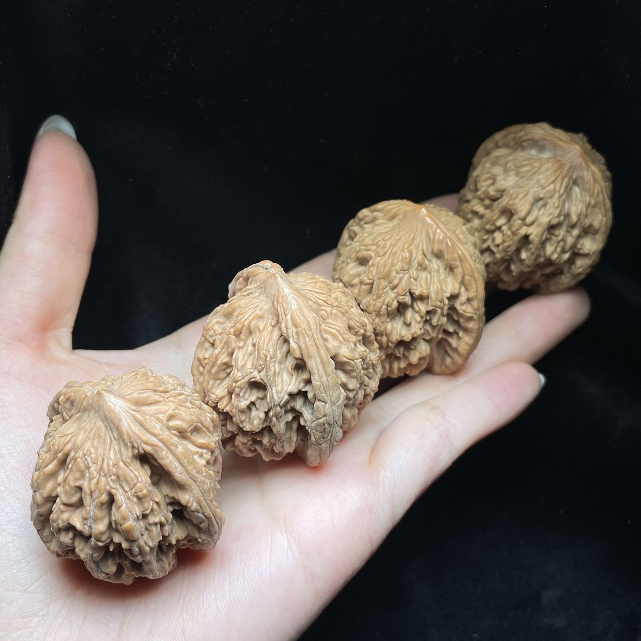 【曹美丽精选】H34133-核桃虎头-多样性发一件-38mm