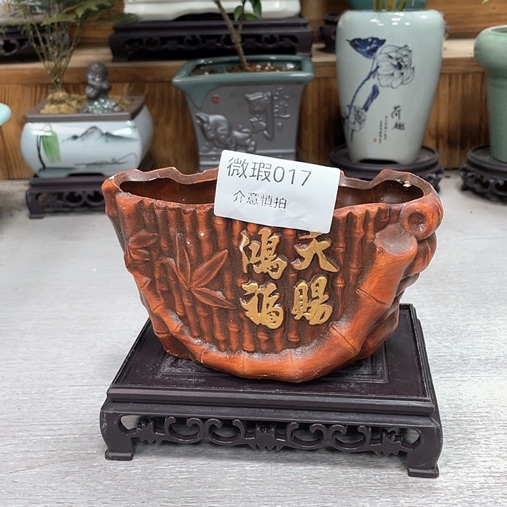 陶瓷花盆紫砂福利抢购福利