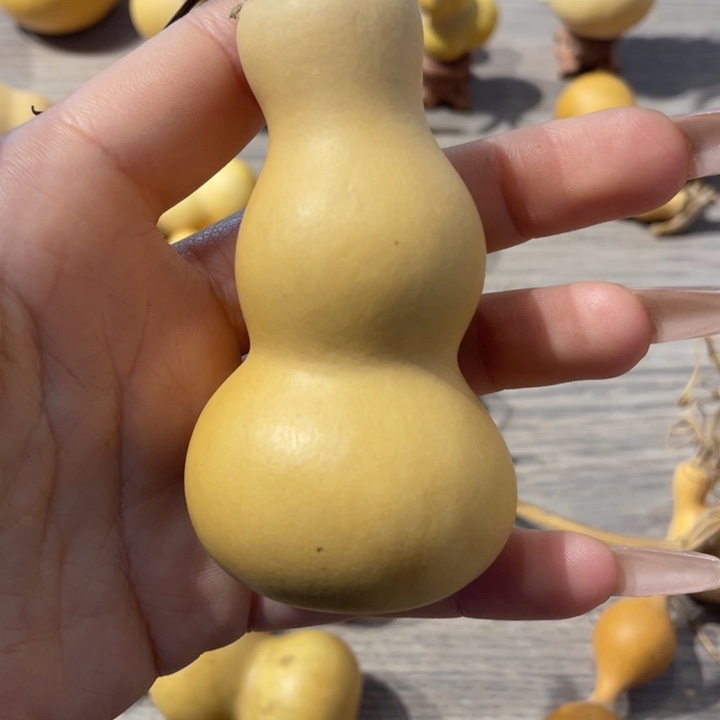 ?****大粗嘴葫芦葫芦葫芦