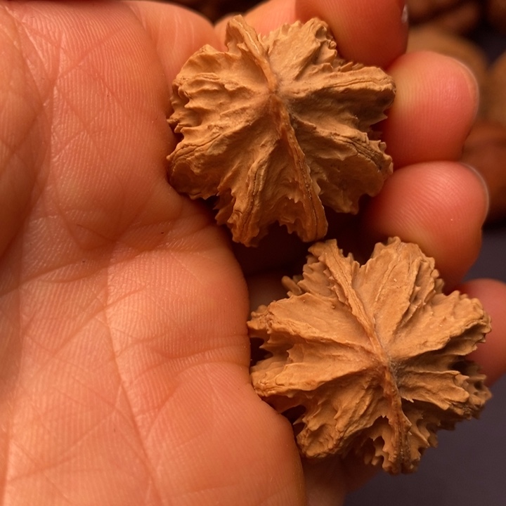 秦岭野生文玩核桃12345678