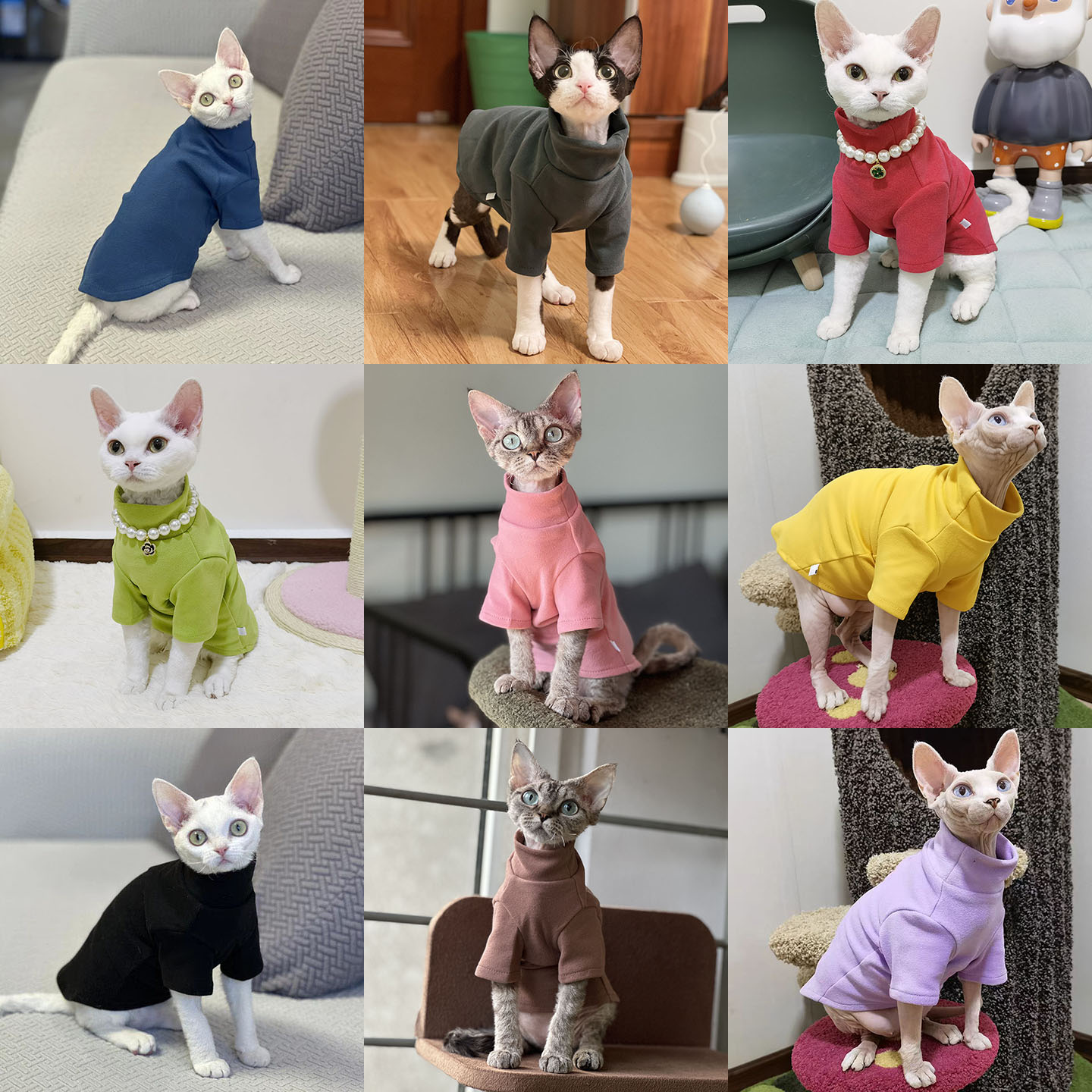 直接拍9款德绒满50包邮无毛德文猫衣服保暖春秋厚度适合冬季打底