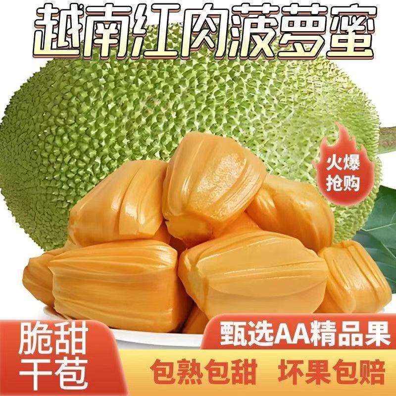 越南进口菠萝蜜一整个现货现发干苞脆甜【黄色果肉】顺丰包邮黄肉菠萝蜜越南社会主义共和国