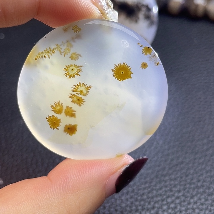 多***辩玛瑙/玉髓未镶嵌颈饰