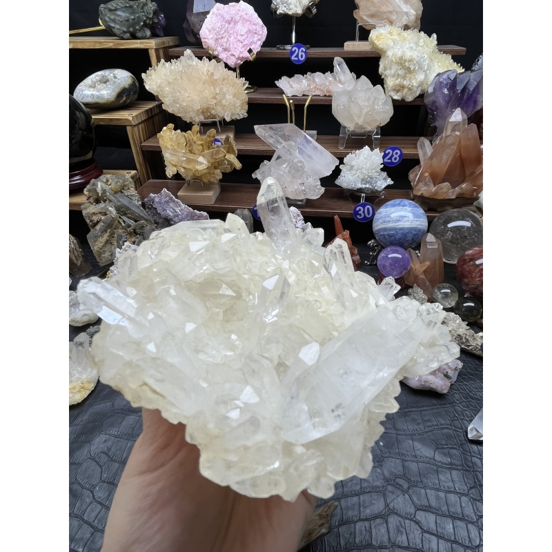 藏晶奶呼呼纯透很简单干净闪亮皮