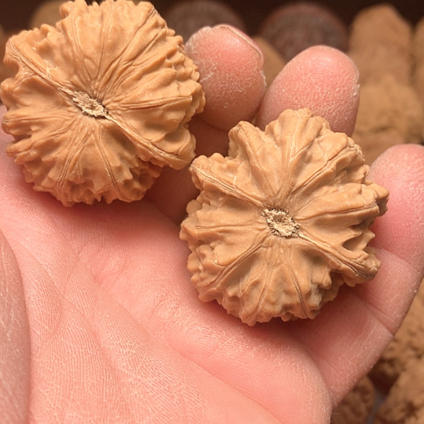 【闪购商品】小*哥野生玉