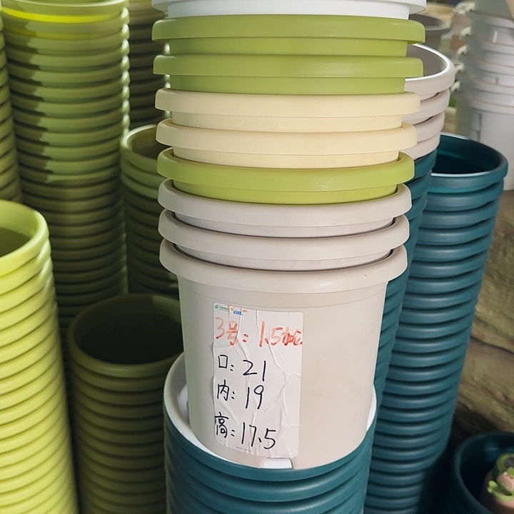 四季3#口径21灰白10个无托