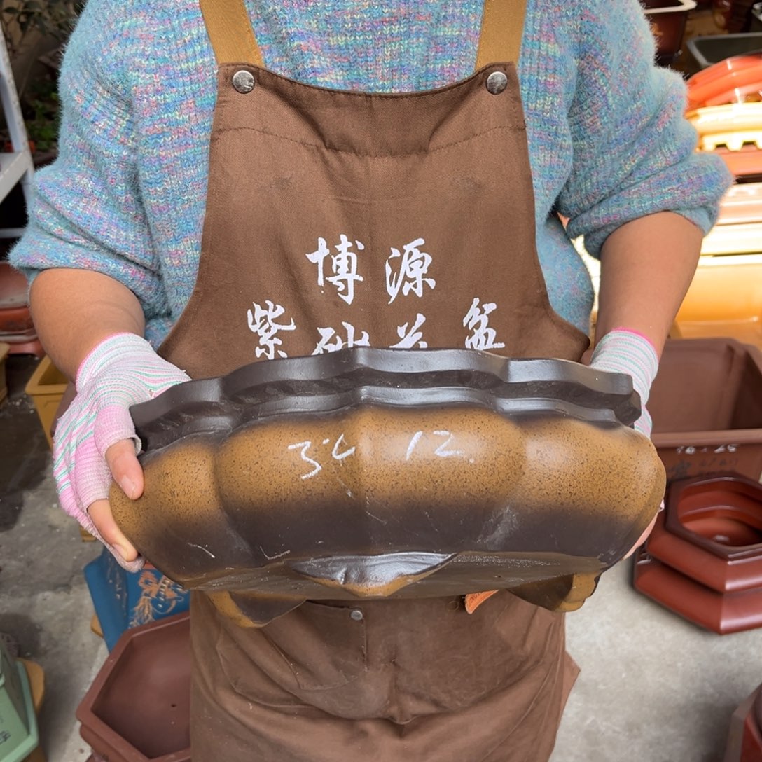紫砂花盆盆景艺术