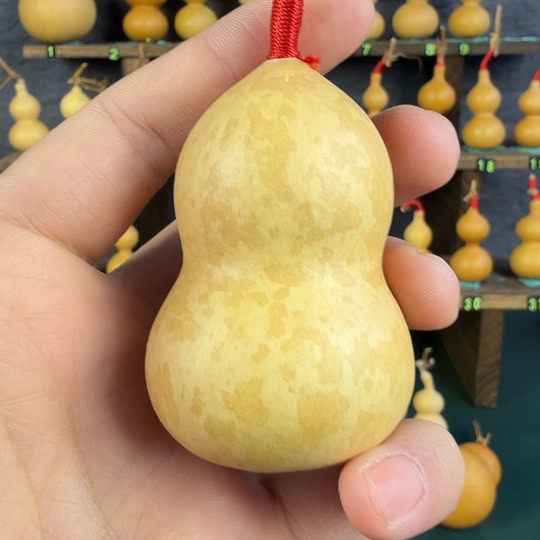 松***、葫芦葫芦葫芦葫芦葫芦葫芦