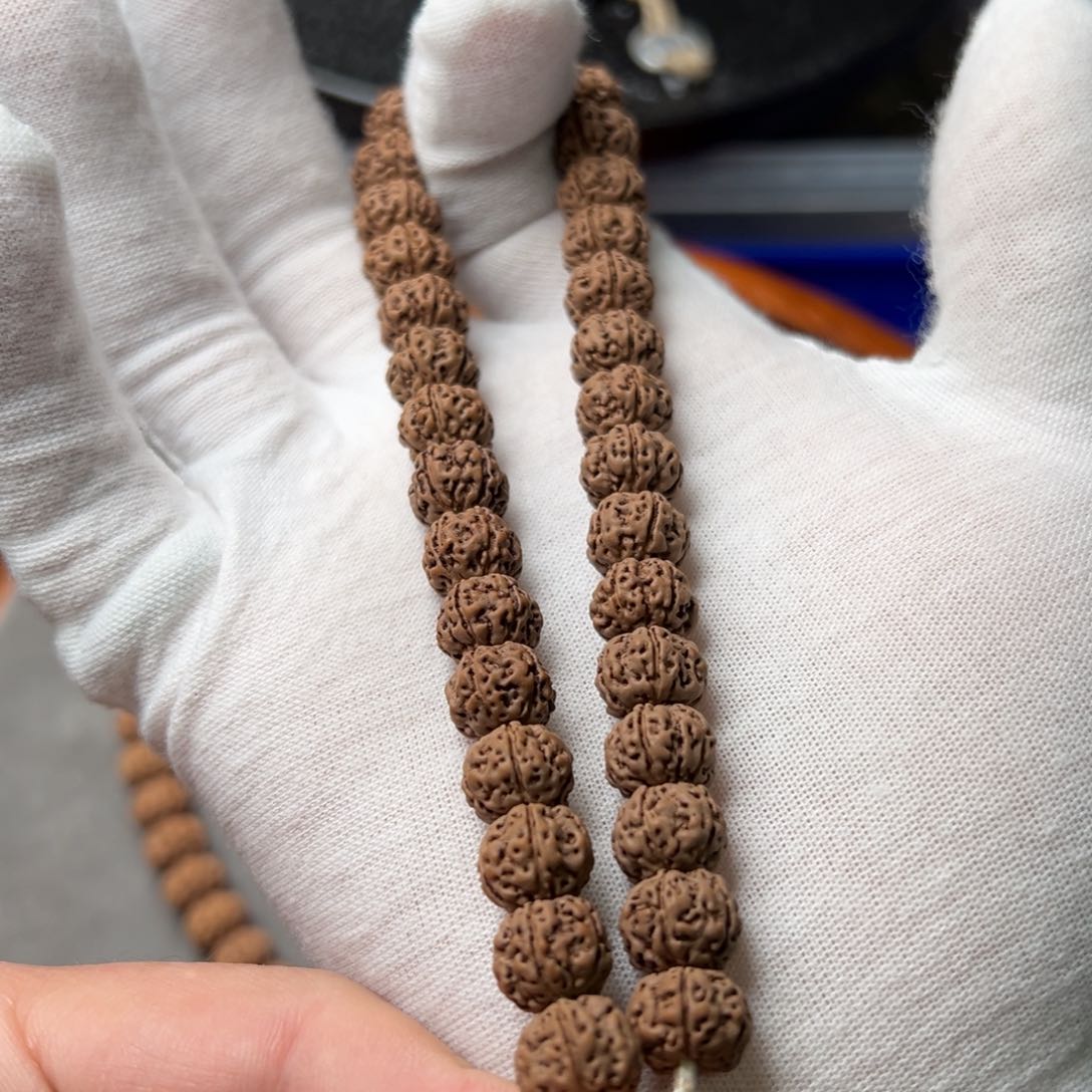 金刚菩提手串10.7老树王