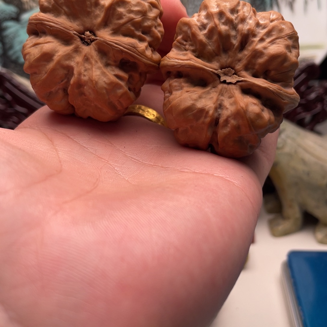 见***师核桃蛤蟆头文玩C20