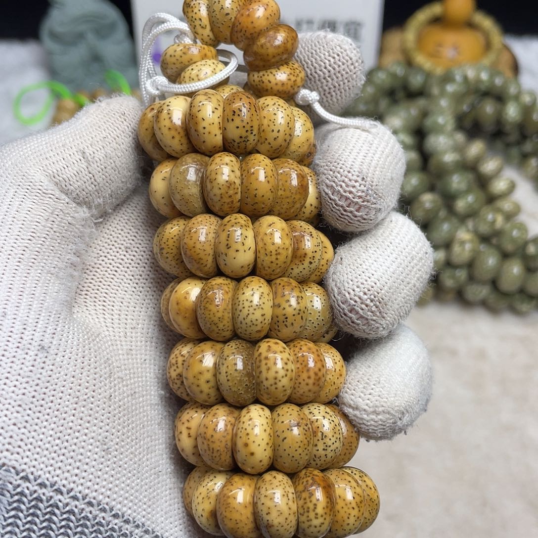 星月菩提吊坠13尺寸，陈籽大肠，带备籽