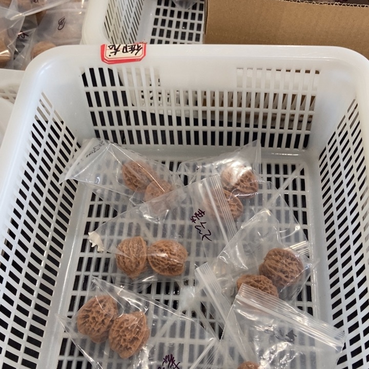 吊坠文玩核桃秦公子瑕疵